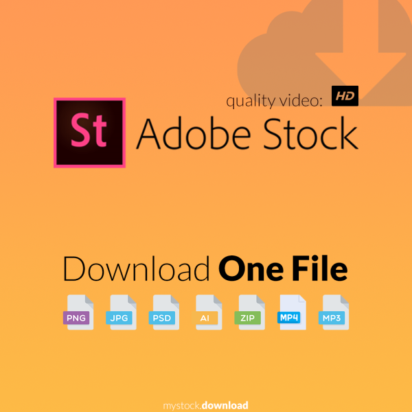 Download Adobe Stock HD Video - ONE FILE